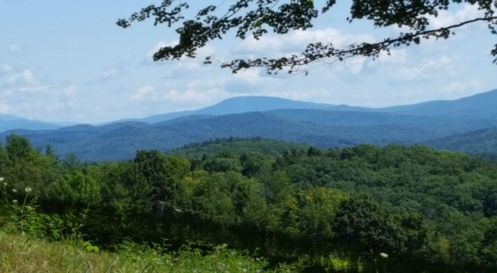 Top or Best Instagram Management Agencies and Companies in Hartford, Vermont