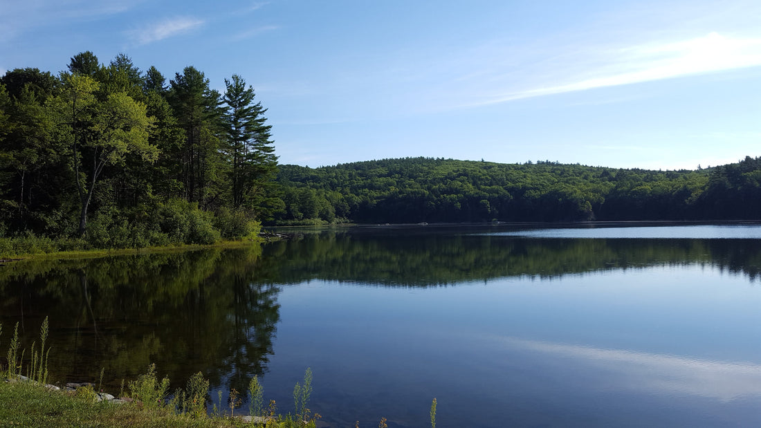 Top or Best Facebook Management Agencies and Companies in Lebanon, New Hampshire