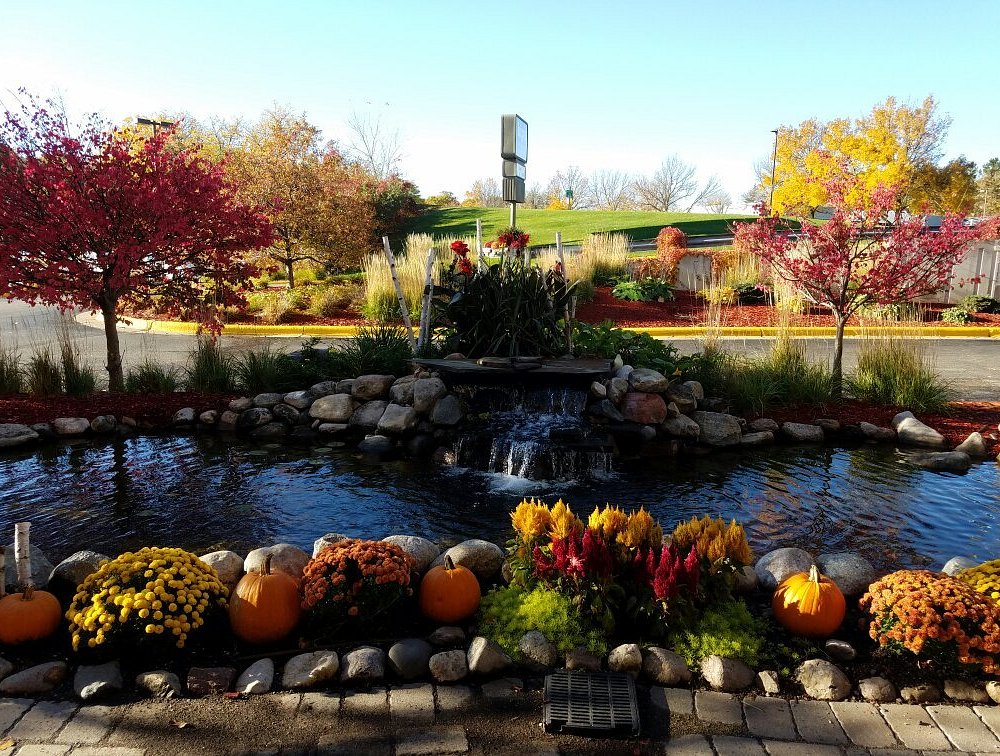 Top and Best TikTok Management Agencies and Companies in St. Louis Park Minnesota