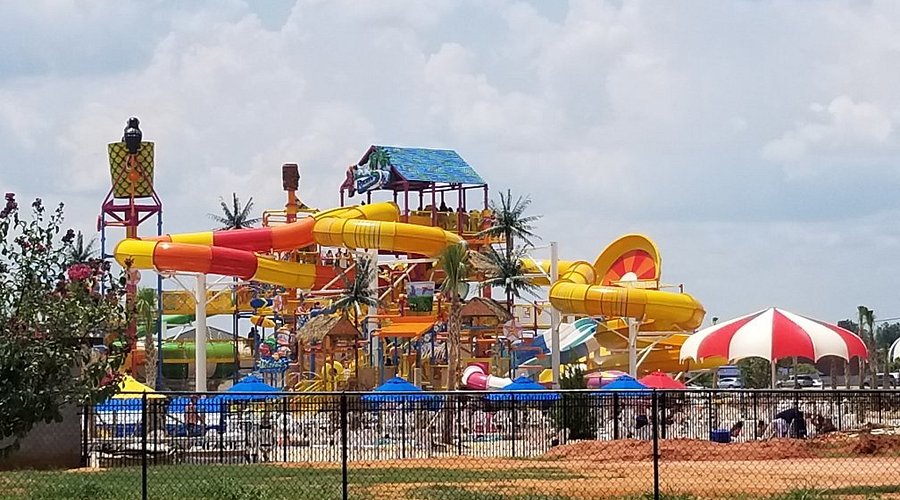 Top or Best Photography and Photo Editing Agencies and Companies in Warner Robins, Georgia