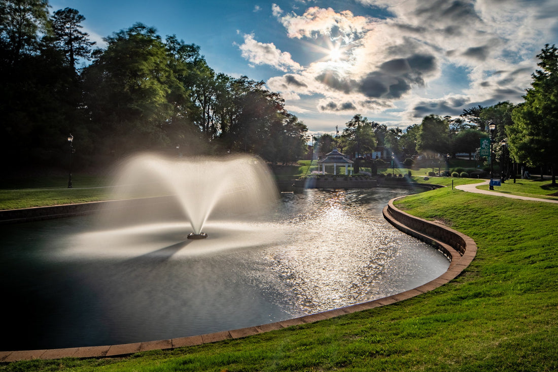 Top or Best Postcard Design Agencies and Companies in Greer, South Carolina