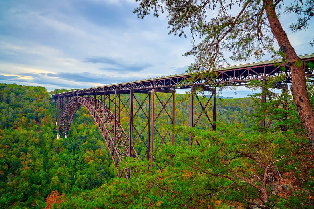 Top or Best Invitation Design Agencies and Companies in Weirton, West Virginia