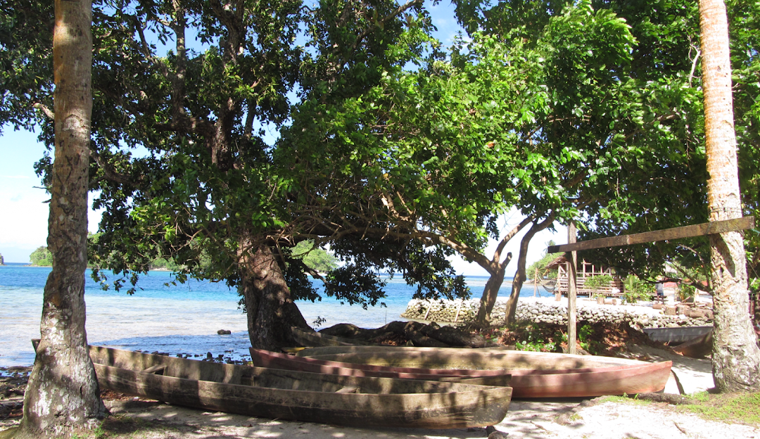 Top NFT Artists in the Solomon Islands