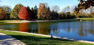 Top or Best Photo Editing Agencies and Companies in Kettering, Ohio