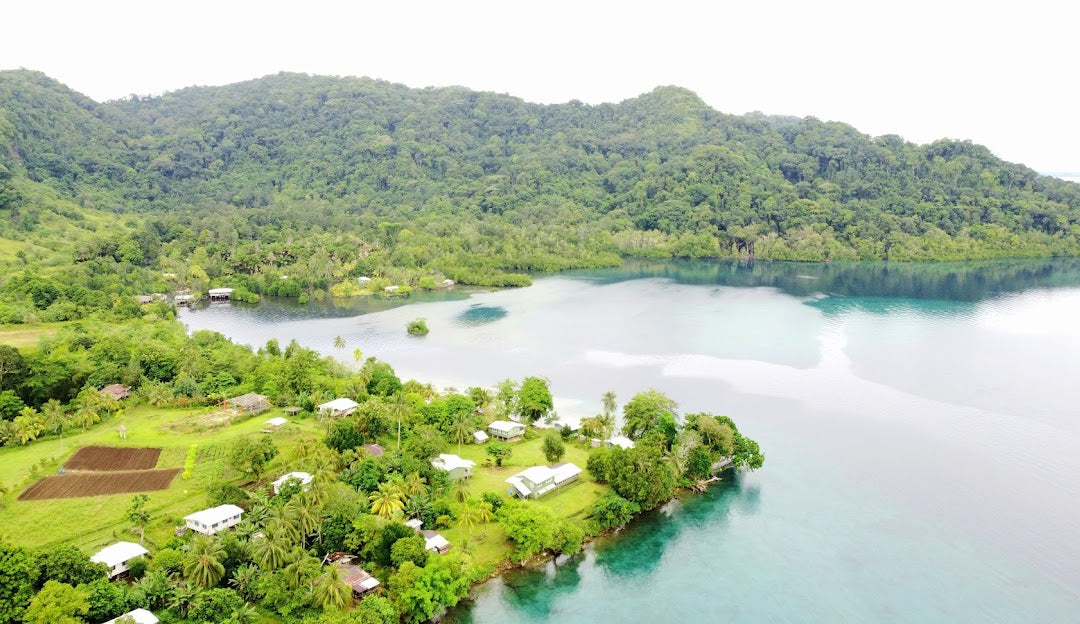 Top Banner Ad Designers in the Solomon Islands
