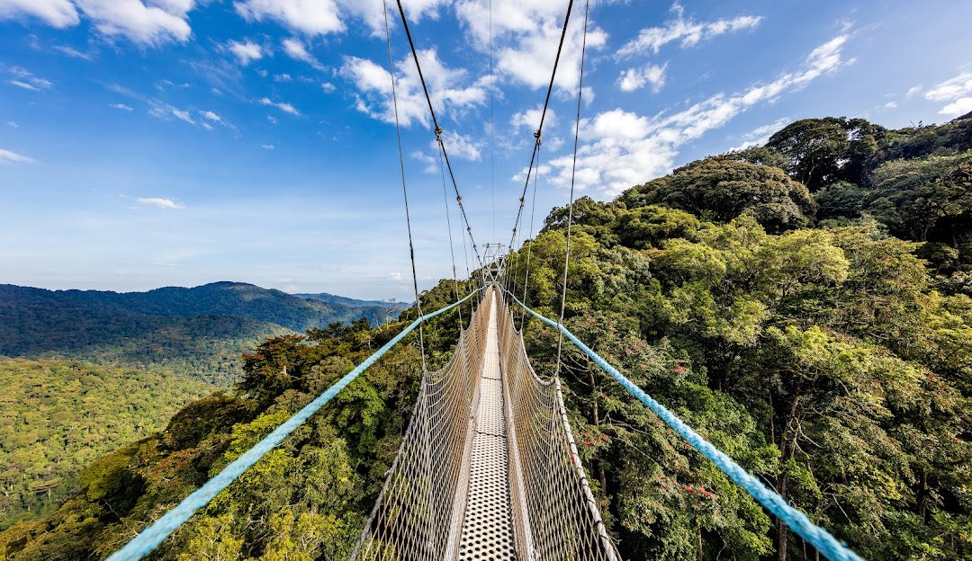 Top or Best Influencer Agency for Rwanda Influencers