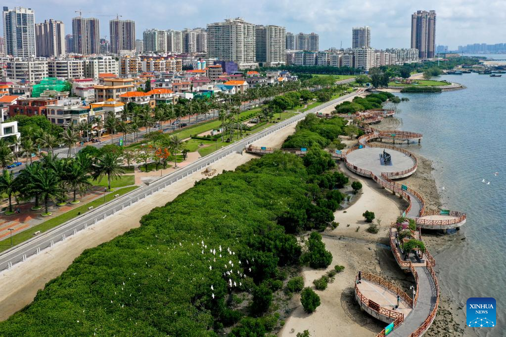 Top or Best Athlete Agencies and Companies in Zhanjiang, China