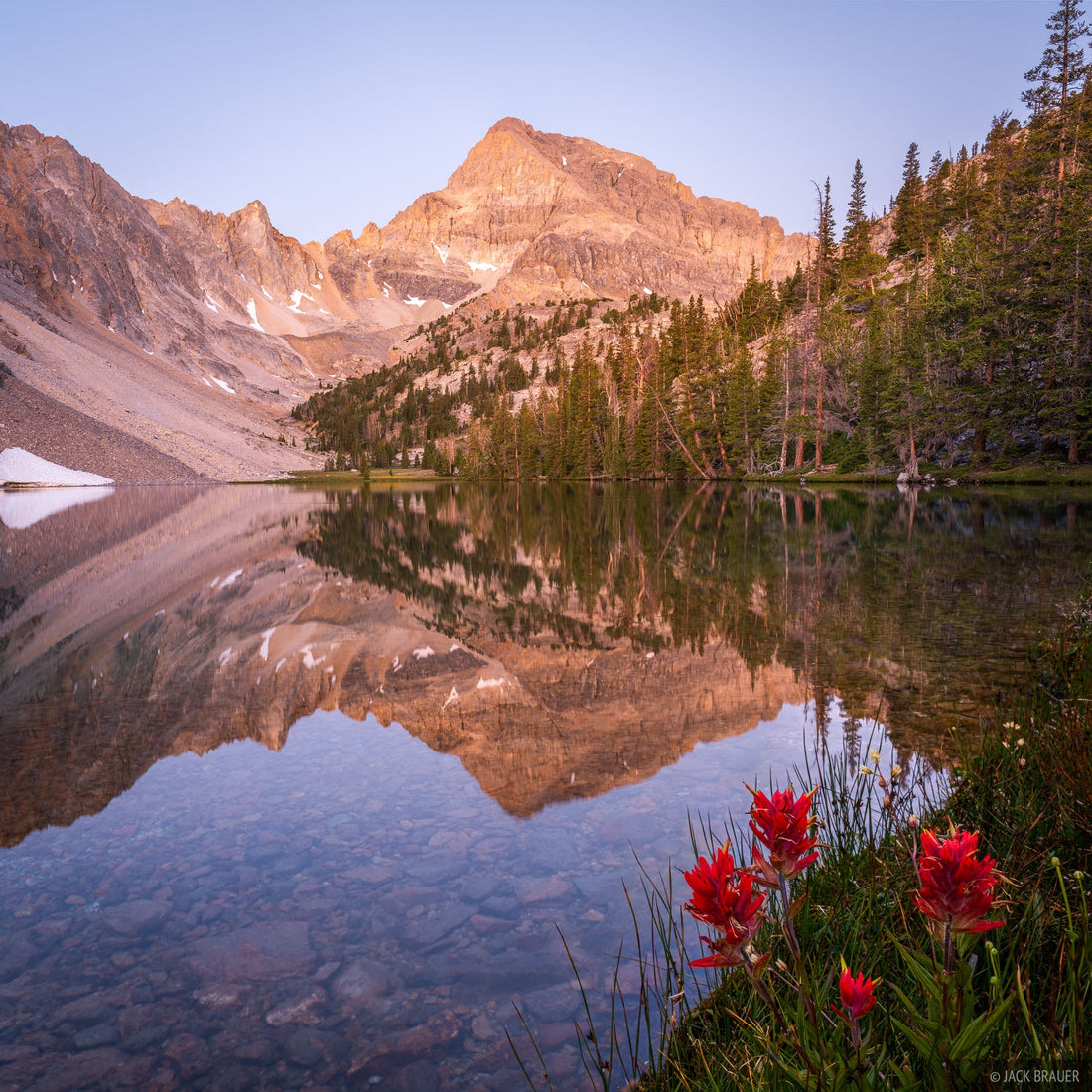 Top or Best Instagram Management Agencies and Companies in Ammon, Idaho