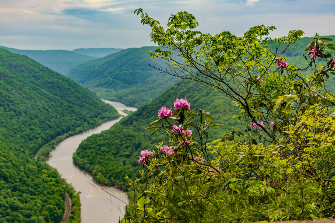 Top or Best X (Twitter) Management Agencies and Companies in Beckley, West Virginia