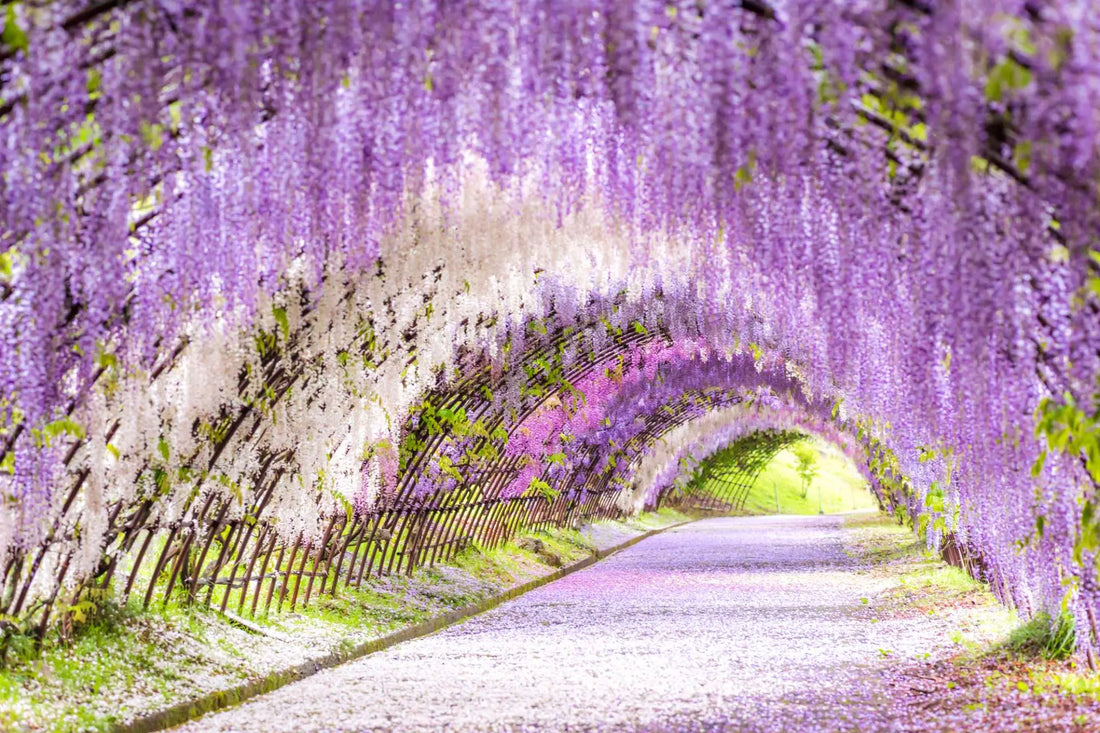 Top or Best Presentation Design Agencies and Companies in Kitakyushu, Japan