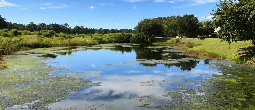 Top or Best Flyer Design Agencies and Companies in Bluffton, South Carolina