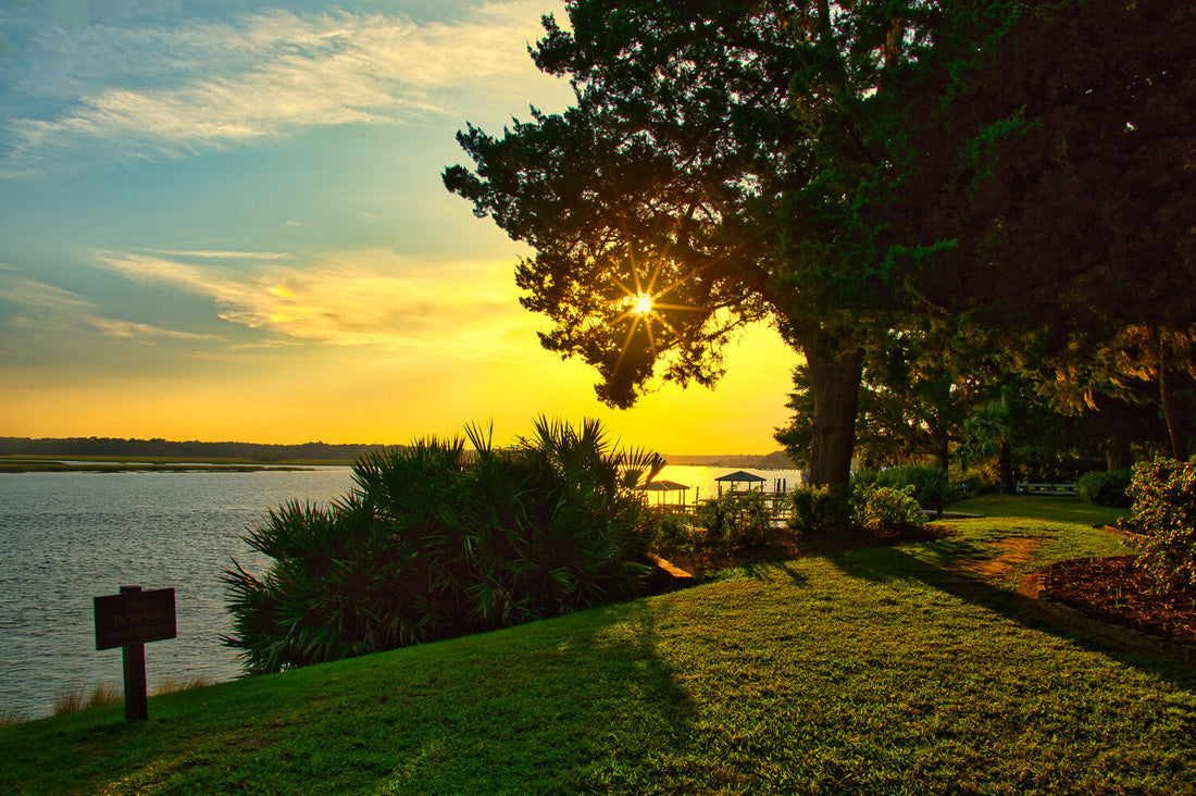 Top or Best YouTube Management Agencies and Companies in Bluffton, South Carolina