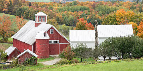 Top or Best Athlete Brand Partnership Agencies and Companies in Vermont
