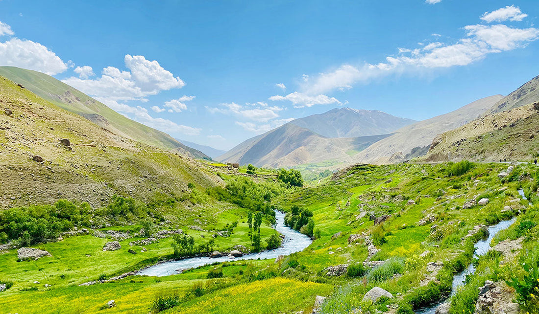 Top or Best Athlete Brand Partnership Agencies and Companies in Afghanistan