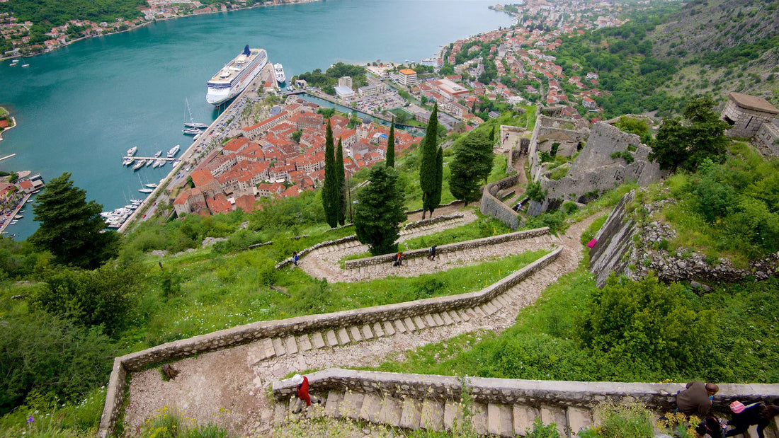 Top or Best Athlete Brand Partnership Agencies and Companies in Montenegro