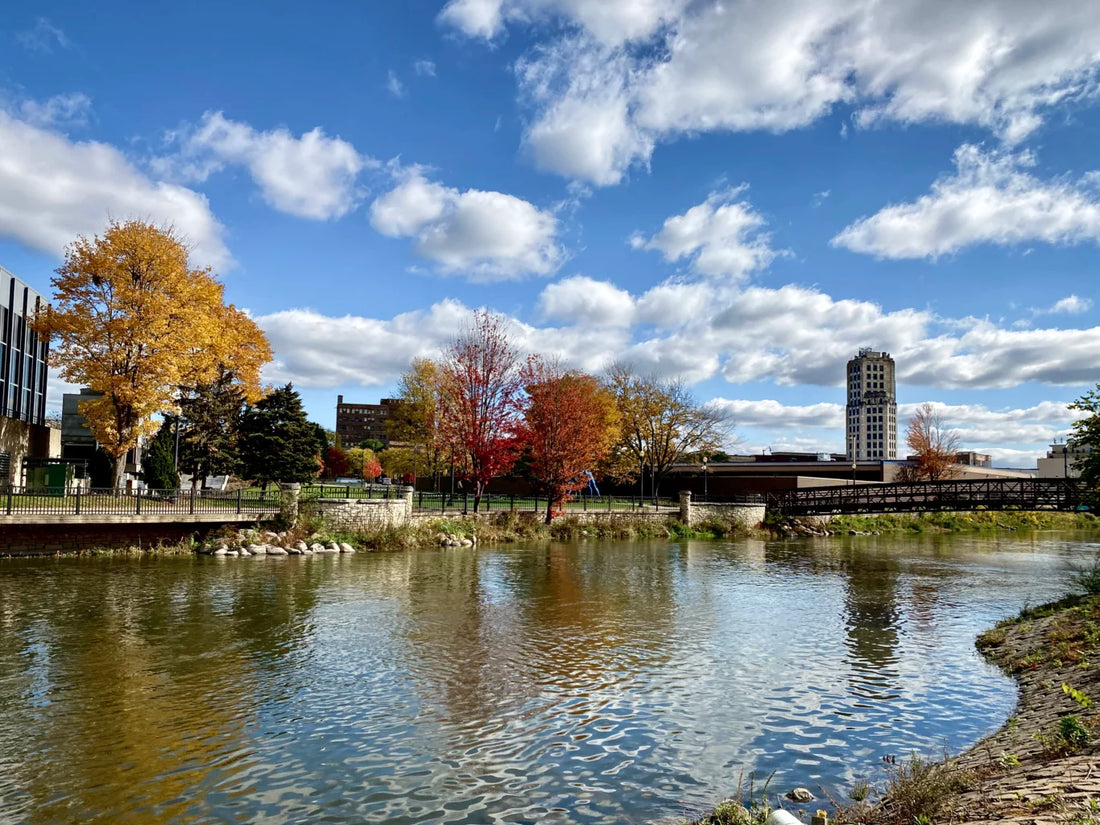 Top or Best Twitch Management Agencies and Companies in Elgin, Illinois