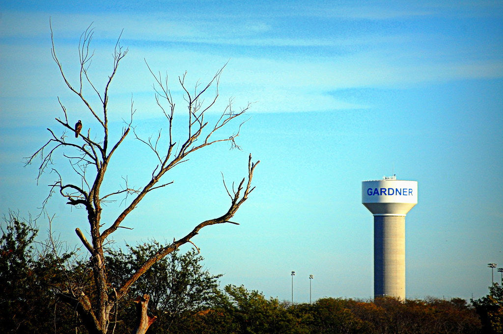 Best or Top Menu Design Agencies and Companies in Gardner, Kansas