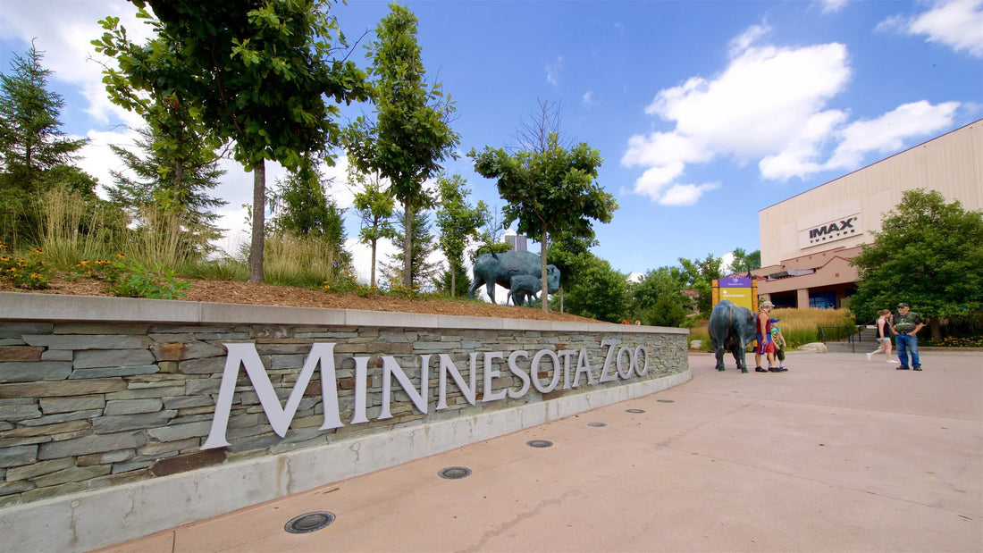 Top or Best Flyer Design Agencies and Companies in Apple Valley, Minnesota