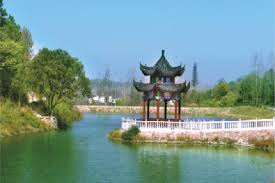 Top or Best Drawing & Illustration Agencies and Companies in Zhumadian, China