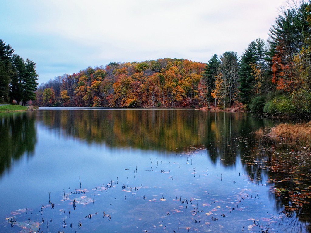 Top or Best Social Media Management Agencies and Companies in Bridgeport, West Virginia