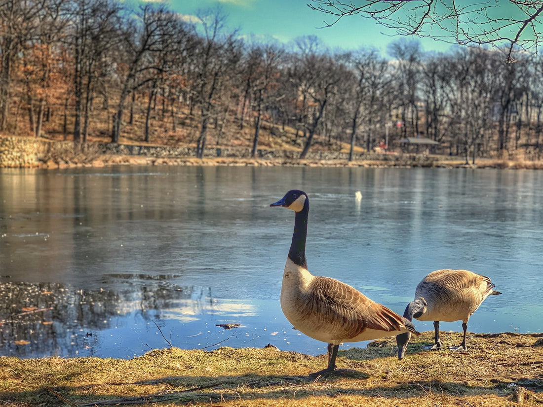 Top or Best Website Design Agencies and Companies in Malden, Massachusetts