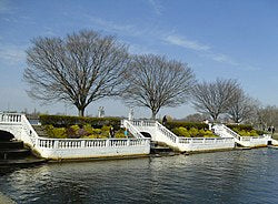 Top or Best Website Design Agencies and Companies in Babylon, New York