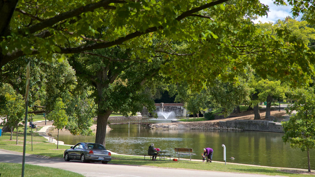 Top or Best Infographic Design Agencies and Companies in Elgin, Illinois