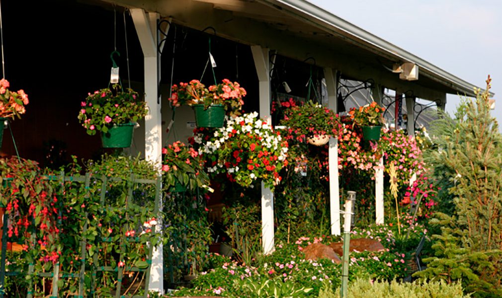 Top or Best Social Media Management Agencies and Companies in Bellevue, Nebraska