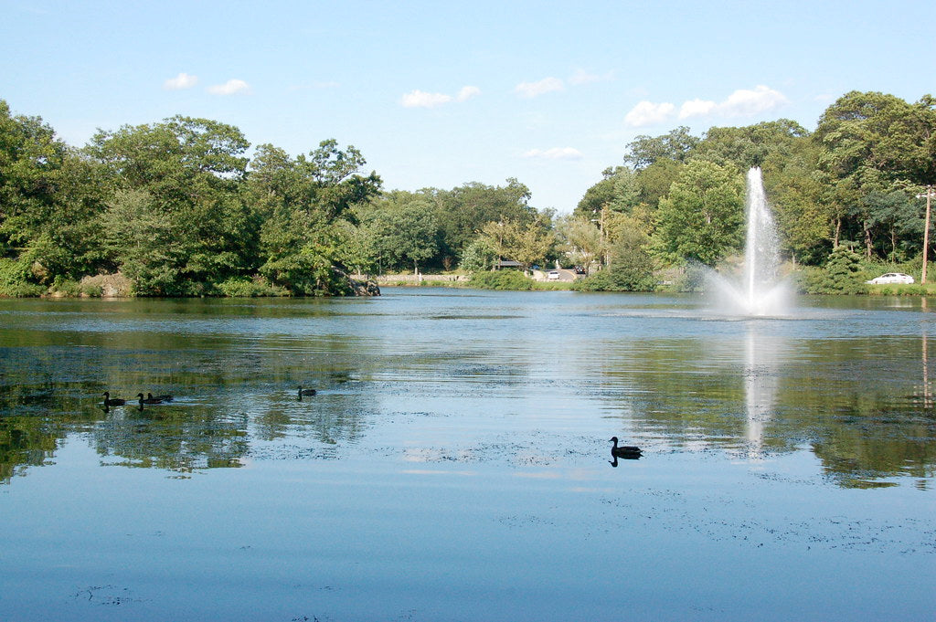 Top or Best Mural Design Agencies and Companies in Malden, Massachusetts