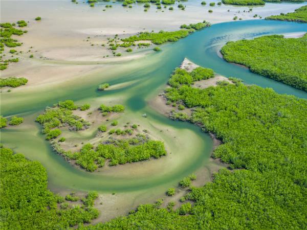 Top or Best Influencer Brand Partnership Agencies and Companies in Gambia