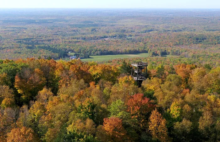 Top or Best Menu Design Agencies and Companies in Wausau, Wisconsin