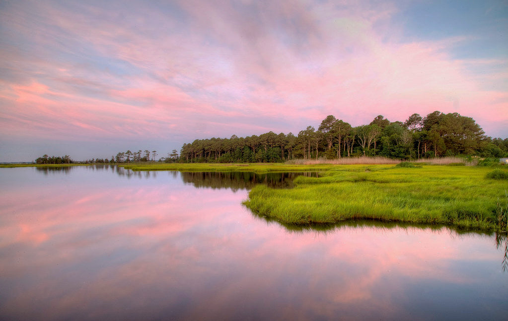 Top or Best Brand Identity Packages Agencies and Companies in Pike Creek Valley, Delaware