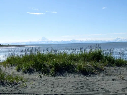 Top or Best Catalog Design Agencies and Companies in Kalifornsky, Alaska