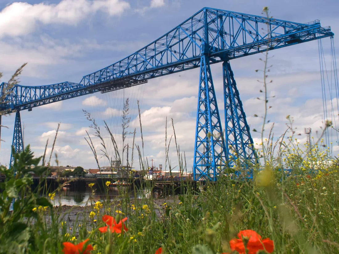 Top or Best Flyer Design Agencies and Companies in Teesside, England