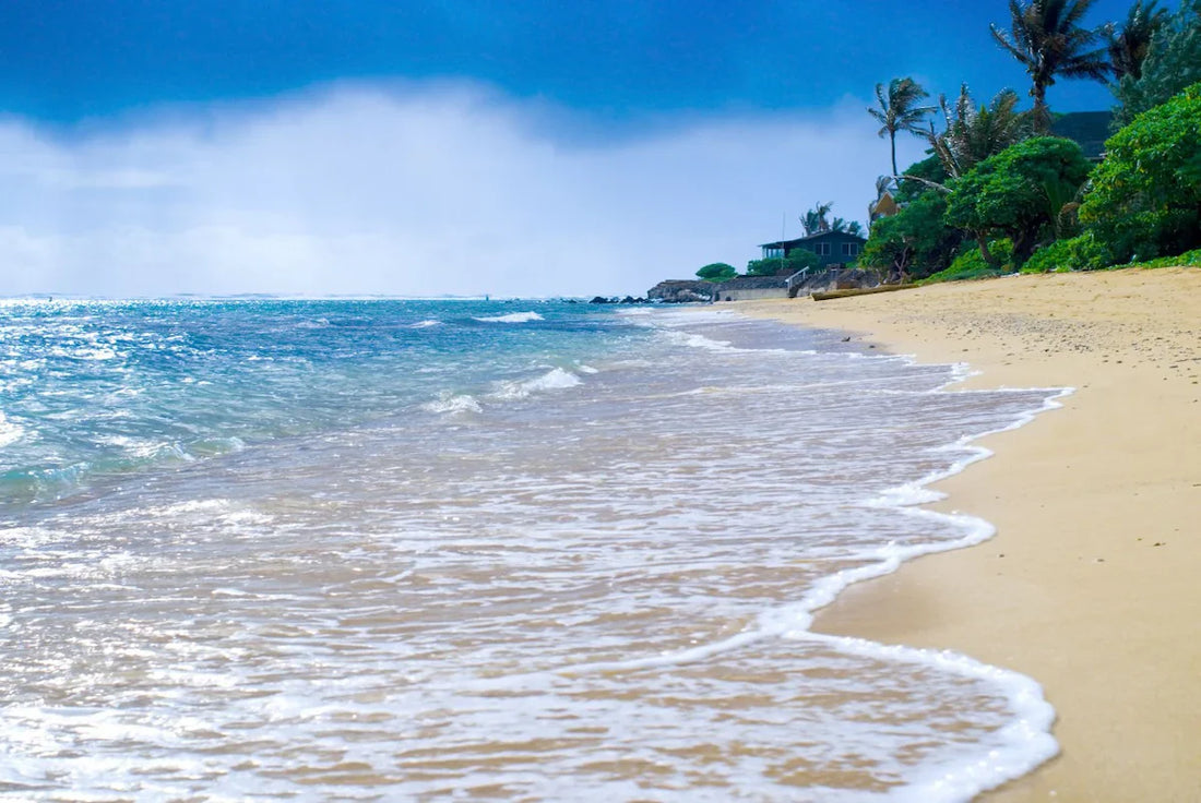 Top or Best Direct Mail Design Agencies and Companies in Ewa Gentry, Hawaii