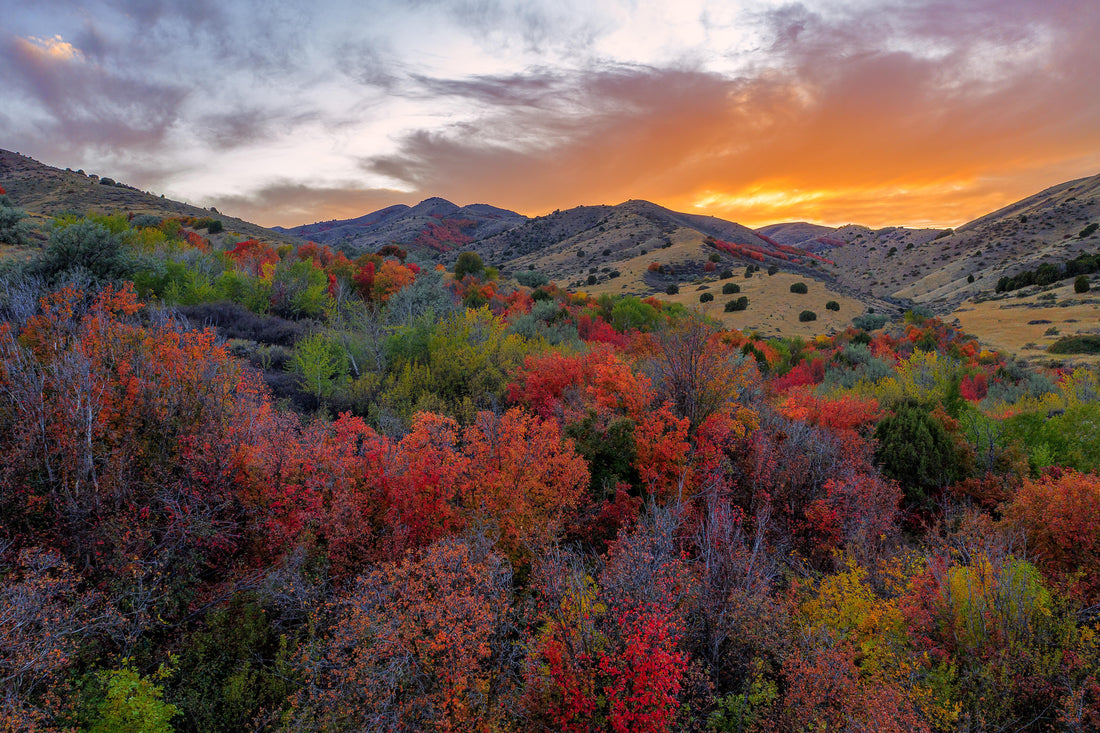 Top or Best Banner Ad Agencies and Companies in Pocatello, Idaho