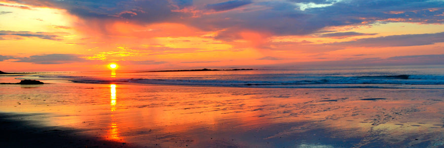 Top or Best Menu Design Agencies and Companies in Hampton, New Hampshire