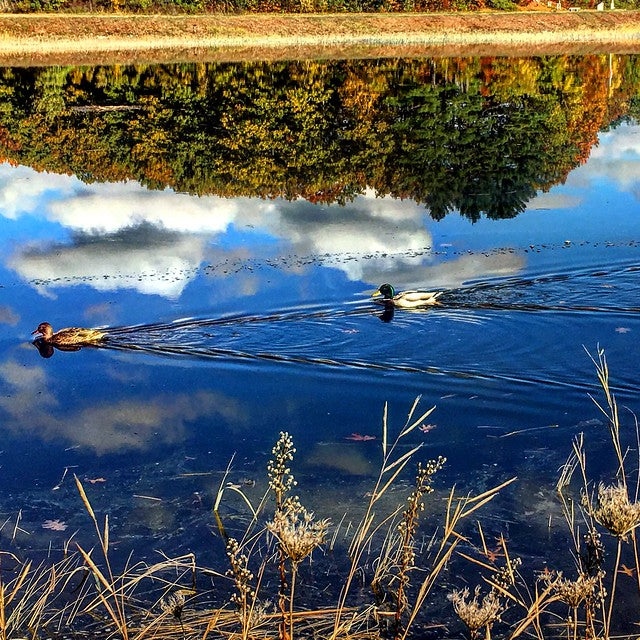 Top or Best X (Twitter) Management Agencies and Companies in Exeter, New Hampshire