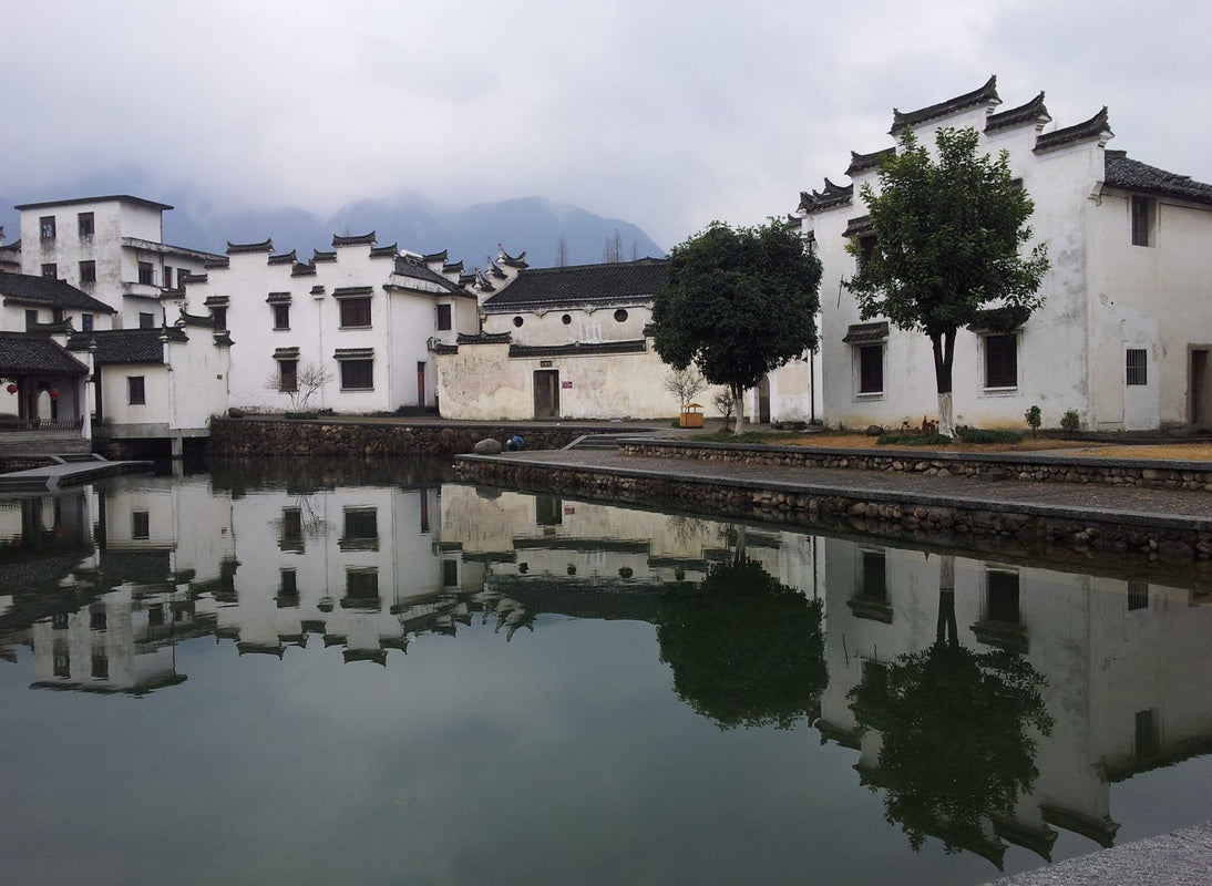 Top Talent Management Agency in Fuyang, China