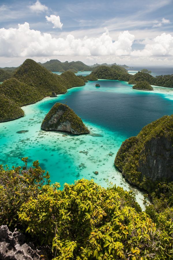 Top 5 Storyboard Design Agencies in Papua New Guinea