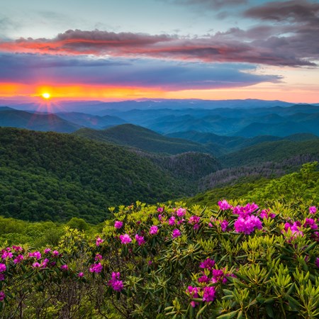 Top or Best Social Media Design Agencies and Companies in Florence, South Carolina