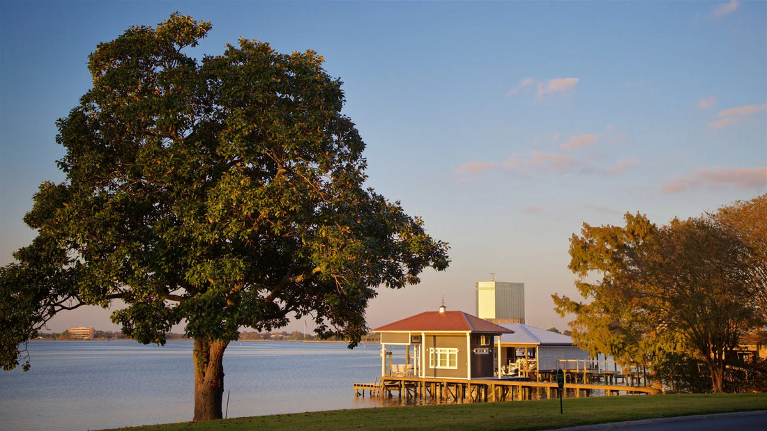 Best or Top Social Media Management Agencies and Companies in Lake Charles, Louisiana