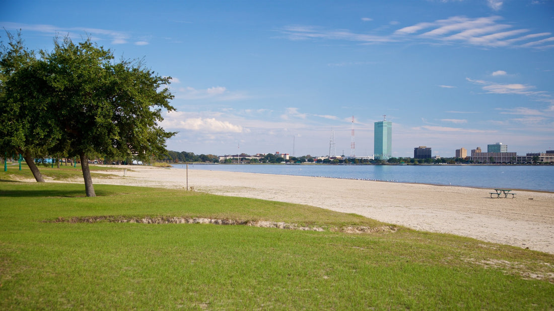 Best or Top Email Campaign Design Agencies and Companies in Lake Charles, Louisiana