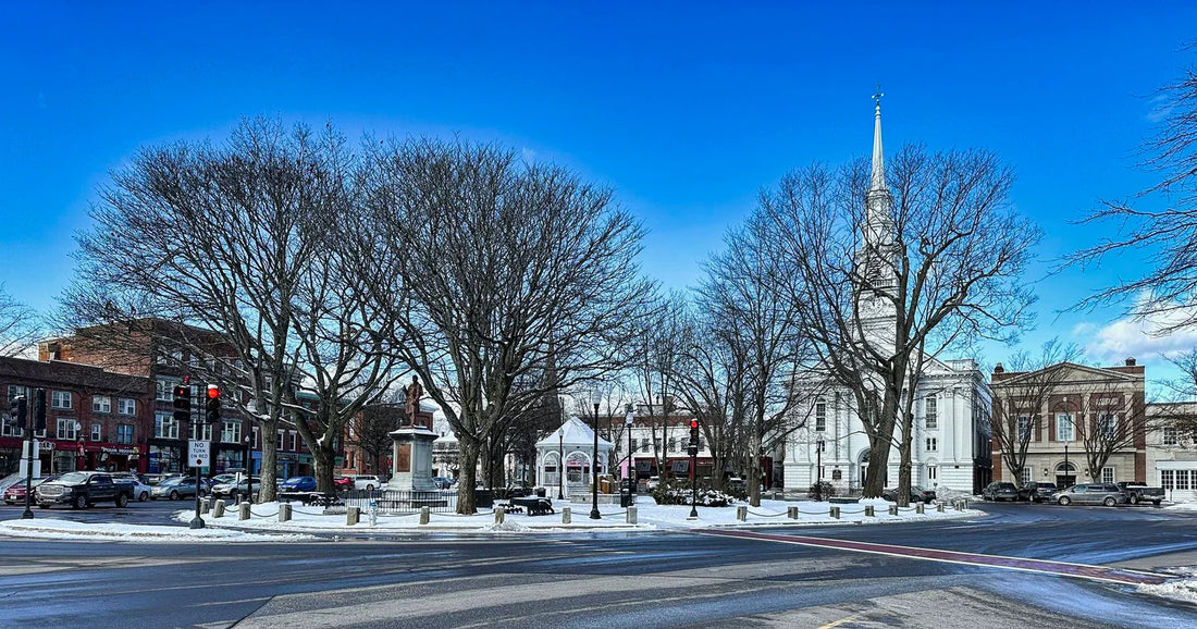 Top or Best Logo Animation Agencies and Companies in Keene, New Hampshire