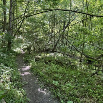 Top or Best Postcard Design Agencies and Companies in Radcliff, Kentucky