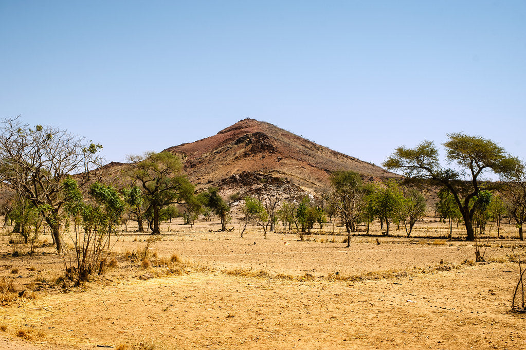 Top or Best Talent Management Agencies and Companies in Burkina Faso