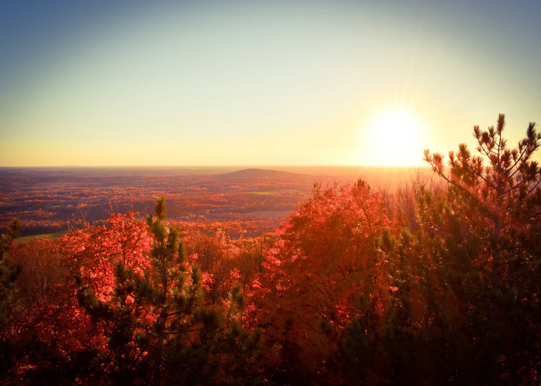 Top or Best Email Campaign Design Agencies and Companies in Wausau, Wisconsin