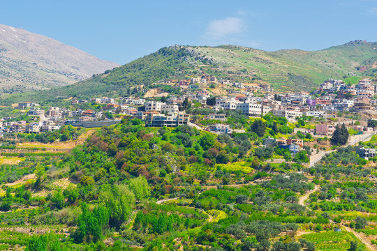 Best LinkedIn Management Companies in Syria