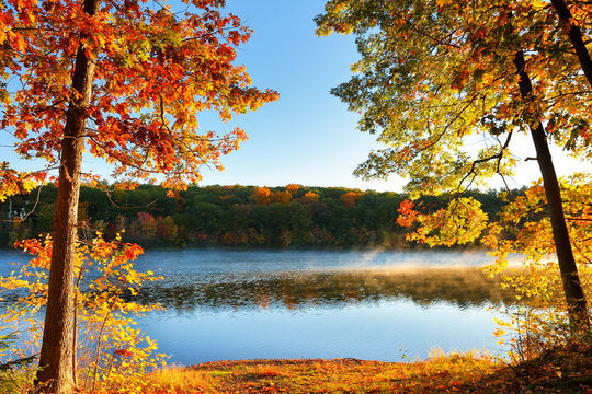 Top or Best Poster Design Agencies and Companies in Fall River, Massachusetts