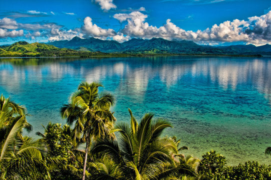 Top 5 Cartoon & Comic Design Agencies in Fiji
